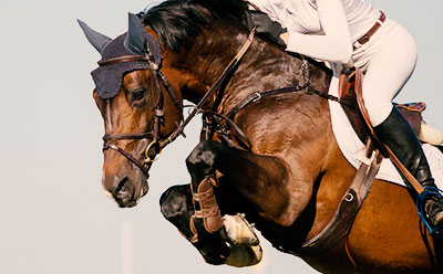Horse Showjumping