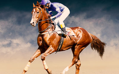 Rules of Horse Showjumping